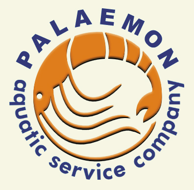 Palaemon | aquatic service company